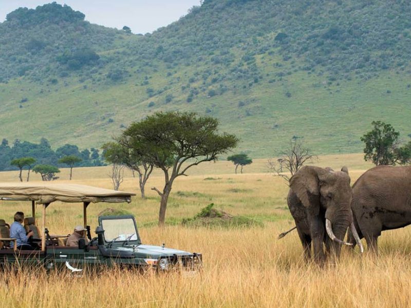 Kenya Tour Packages from Dubai