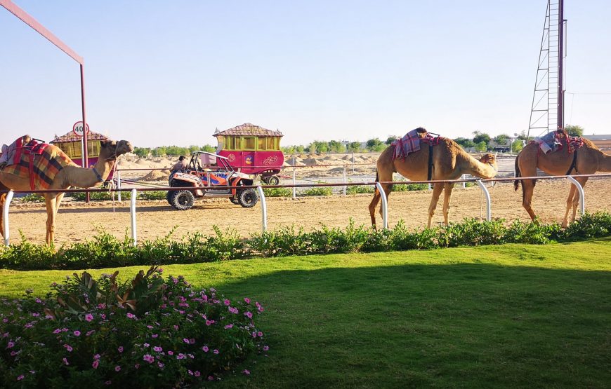 Dubai Royal Camel Racing Club Tickets