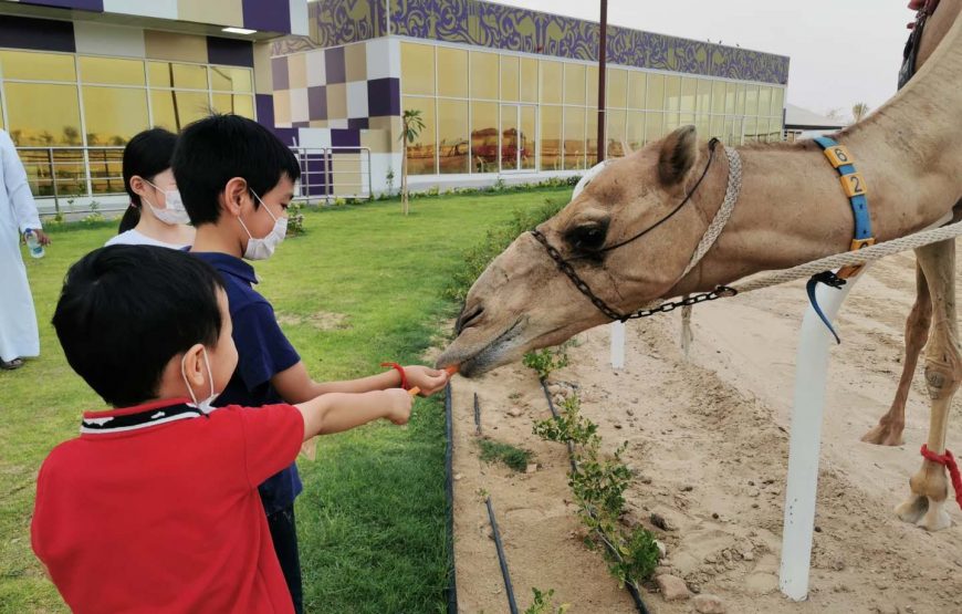 Dubai Royal Camel Racing Club Tickets @ 110 AED