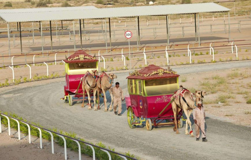 Dubai Royal Camel Racing Club Tickets