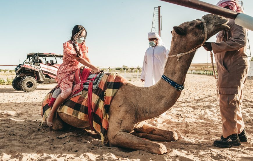 Dubai Royal Camel Racing Club Tickets